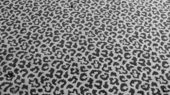 Gepard Teppich